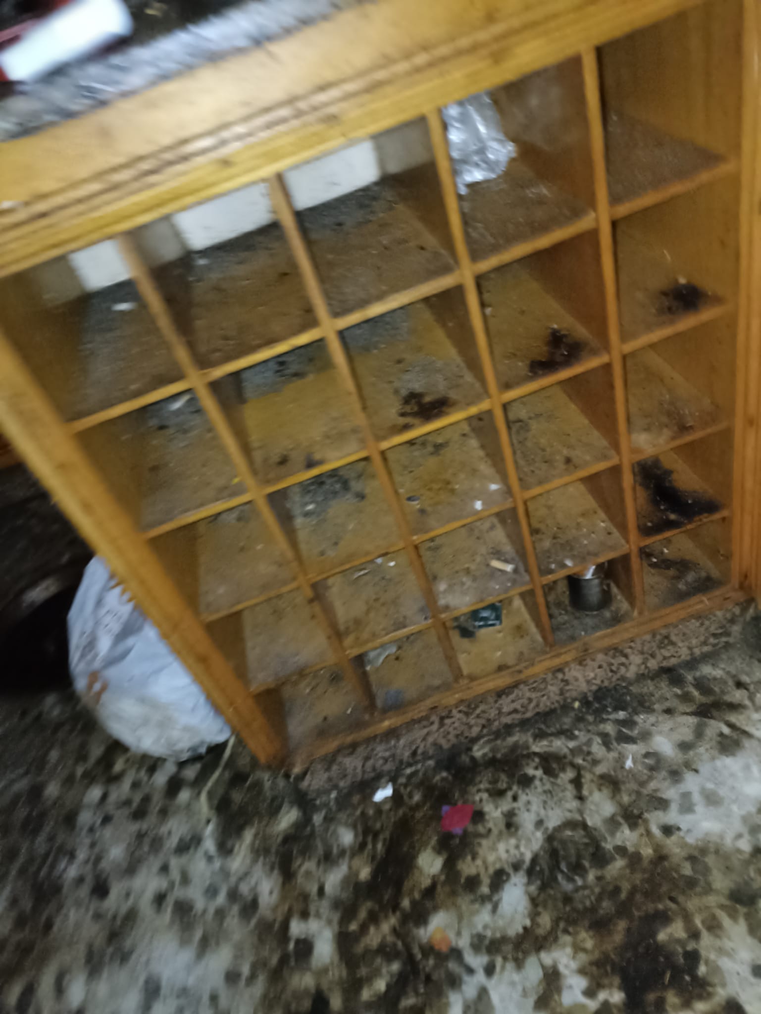 Recogida y reciclaje de muebles viejos y trastos en Constantí - ¡Elimina el desorden de tu hogar!
