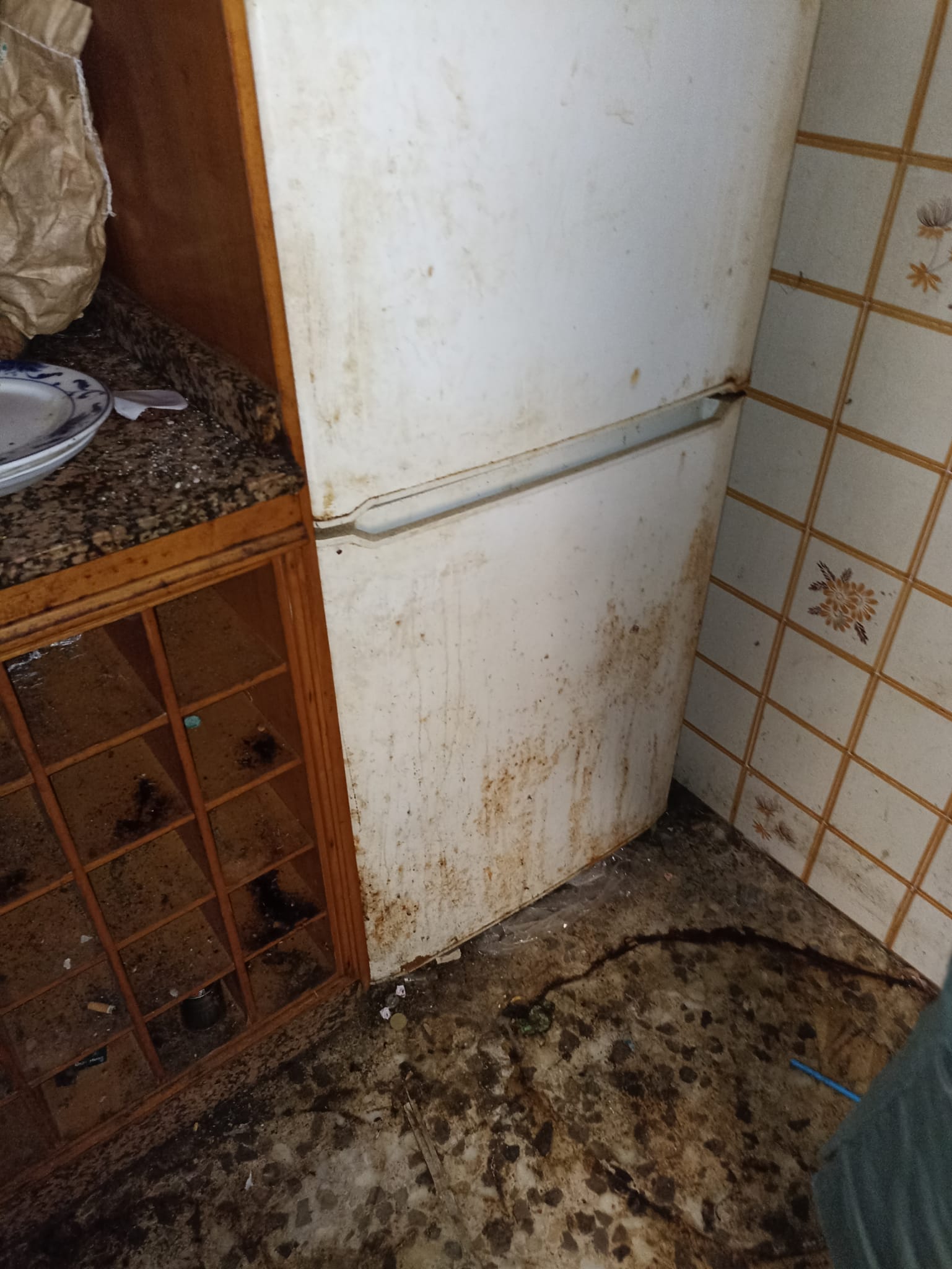 Reciclaje de muebles, electrodomésticos y basura en Caseres - ¡Crea un futuro sostenible!